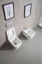 Coppia di Sanitari Sospesi della Serie Quadra Completa di WC, Bidet, Sedile Softclose e Fissaggi