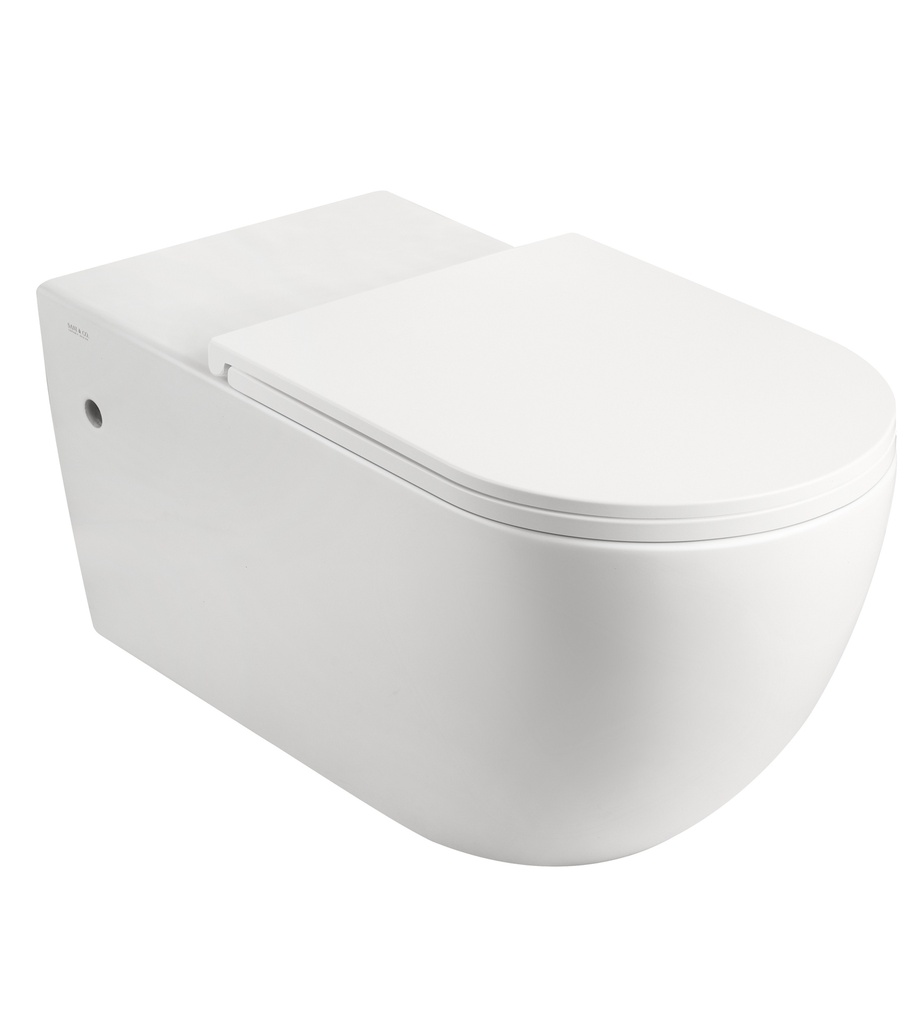 Wall Hung Rimless Wc of the Agata Serie