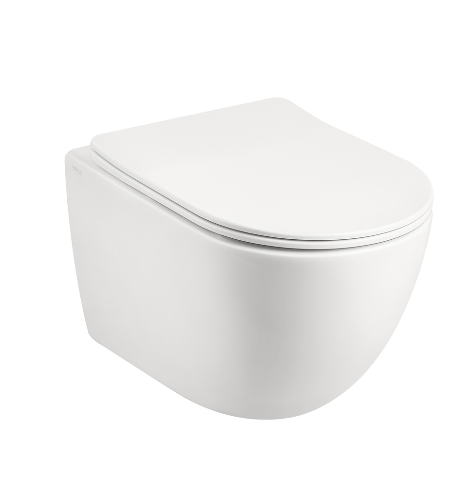 Wall Hung Rimless Wc White Matt of Dara Serie